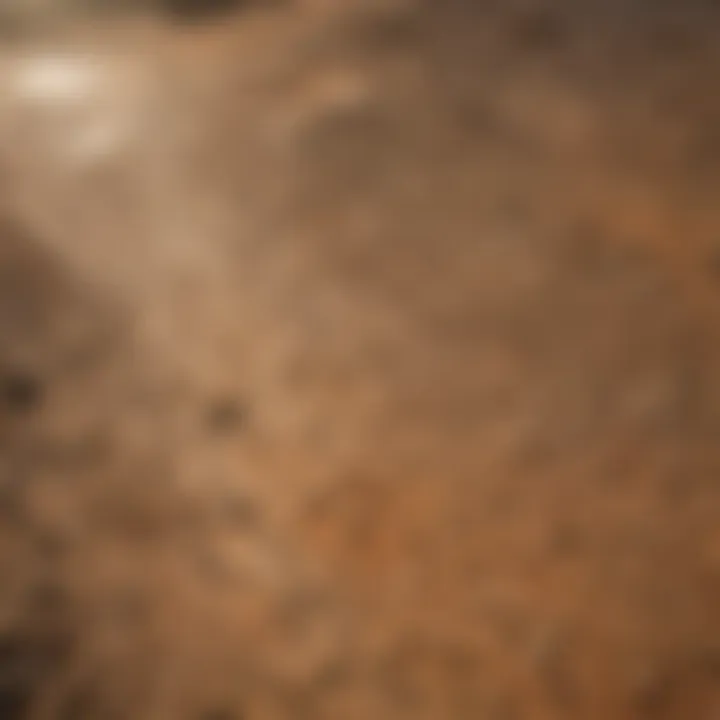 Aerial view of a drought-affected landscape